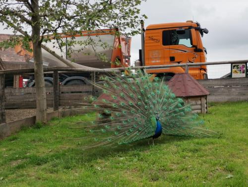 Unsere Jungs on Tour 2020
