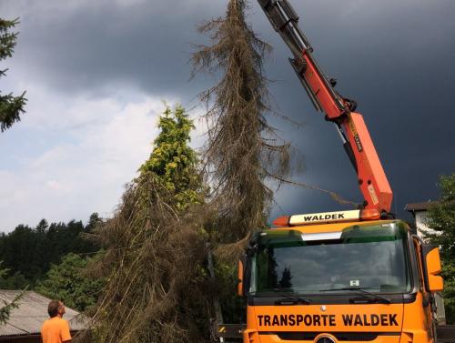 Unsere Jungs on Tour 2016